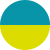 Teal / Lime
